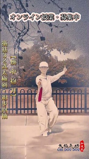 Foundation Building 32-Form Tai Chi Sword - Independent Swing Chop - Retreat and Draw Back / Zhid...