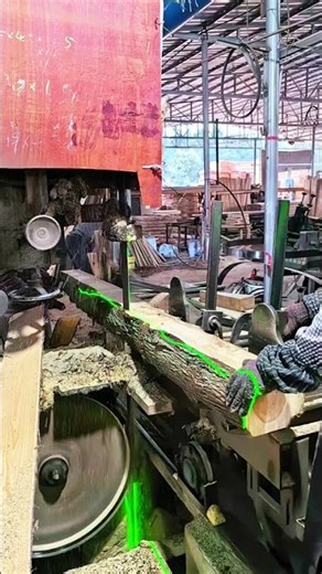High-Volume Lumber Processing: Cutting Logs with a Vertical Band Saw