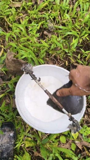 Rubber milk extraction #kerala #ihavethisthingwithplants #india #agriculture #nature #life