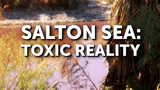 Salton Sea: Toxic Reality - UCLA reports show gaps in gov. monitoring