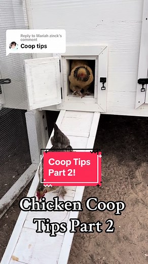 Replying to @Mariah zinck A coop’s purpose is to provide a safe place for your chickens to retreat from the weather, roost at night, and to lay eggs in. The coop itself can be pretty basic on the inside with roosts, nest boxes, and ventilation up high. A coop can be built many different ways- when you plan your coop keep the size, safety, and functionality at the center of your plans. #coops #tips #chickens #backyardflock #backyardchickens #fyp #foryou #foryoupage #chickenmom #learnontiktok #adv