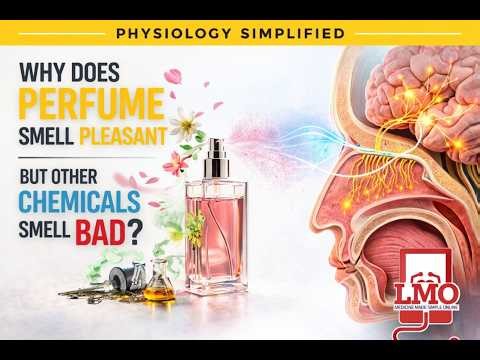 Why do Perfume trigger Emotions: Science Explained