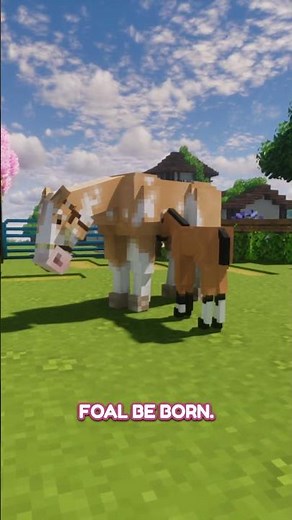 A COTTAGECORE HORSE WORLD IN MINECRAFT?! 🌷🪻