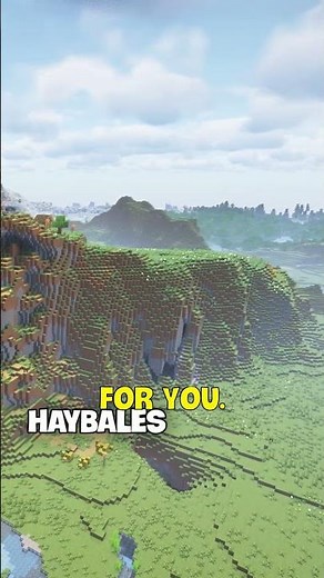 Largest Birch Tree Minecraft