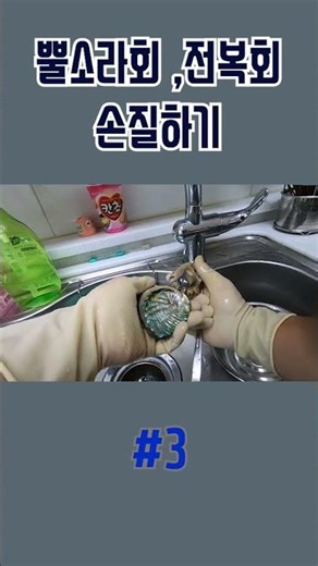 전복회,뿔소라회 손질법