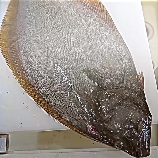 Engaging Daily Facts You Didn't Know