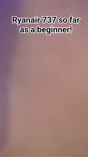 Ryanair 737 so far as a beginner! #aviation #planemodel