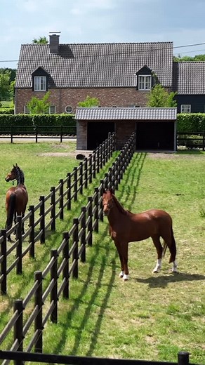 Begijnhoeve on Instagram: "The stable in Geel has been looking amazing lately 😍 Hard to decide which direction to take – Geel or Postel? Each place has its charm 🥰 #horsebarn #stableforsale"
