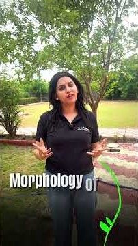 Root System Explained with Real-Life Examples | ft. Shivani Ma’am #shorts