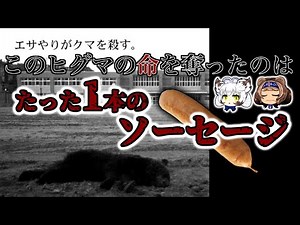 【ゆっくり解説】「ソーセージの悲しい最後」ヒグマの命を奪ったのはたった一本のソーセージ