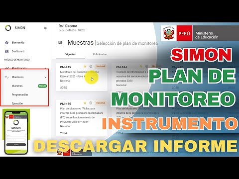 HOW TO FILL OUT SIMON MINEDU, MONITORING PLAN AND MANAGEMENT INSTRUMENT RECORD 2025