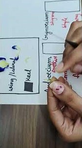 Butterfly Pea flower dissection 🪻#Bio world# plant Biology