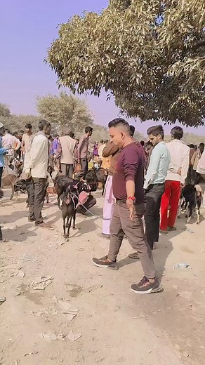 26K views · 434 reactions | Pyar tu dil tu Jaan tu yahi hai arju #virlrells_video❤❤️ #public #reaction | Noor Hasan | Facebook