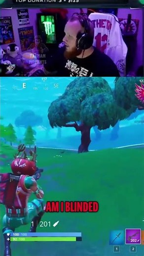 Building a Tree Fort: Epic Vibes and Blindness! #shorts