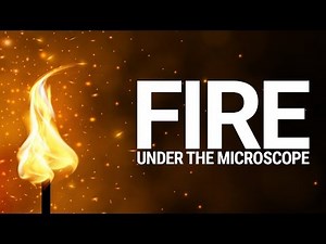 Candle Burning - Fire and Wax Wicking Under the Microscope