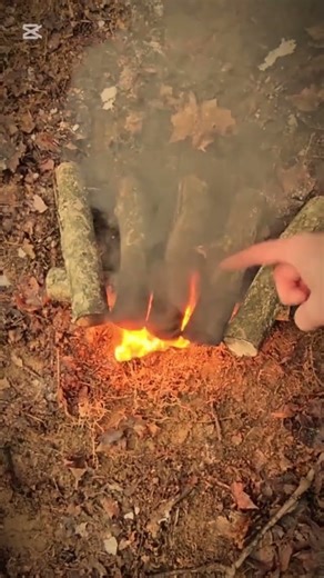 How to make a fire for camping 🏕️ #bushcraft #campping #survival #how #shorts #foryou #viral