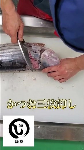 #魚の捌き方シリーズ #かつお三枚卸し