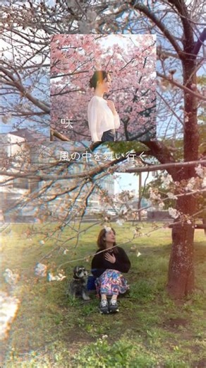 今年の春は、この曲で決定🌸✨橋本聖子の「咲」をBGMに卒業の動画作ってみてね!!✨ #卒業ソング #春うた #オリジナル曲