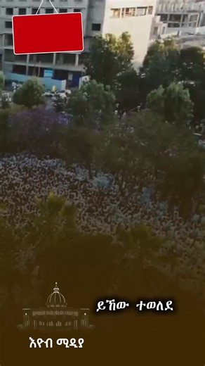 Eyob (@eyob_media1)’s videos with original sound - Eyob