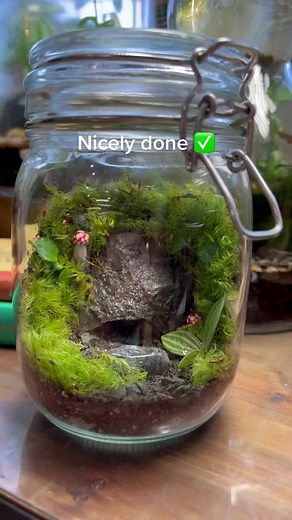 Let’s Make a Terrarium in a Jar: Rocks, Charcoal, Soil, Moss, Plants, and More!