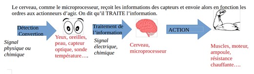 Séquence 11  programmation