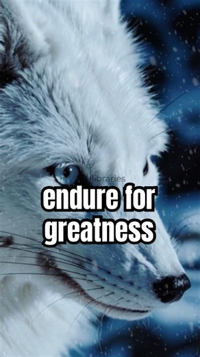 ENDURE THE PAIN NOW: OWN THE GLORY LATER 💪🚨 #motivation #mindset #innerstrength