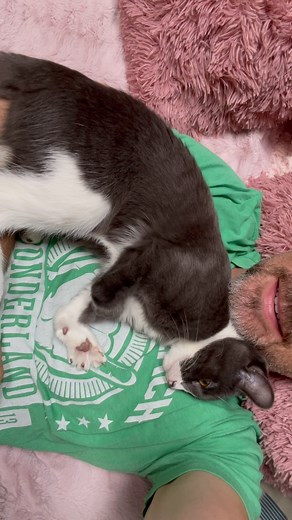 You guys wanted to see how serious foster Tulip is about chest cuddles! 🤣 The girl knows what she likes and doesn’t let her disability stop her. It was easier when she was a baby, but she’s still pretty little, just 5 pounds. Isn’t she just the sweetest? And did you catch those stretchy toes???🥺❤️ #kittensofinstagram #fosterkitten #rescuekitten #menwithcats #catdaddy #catlover #catcuddles #cuteanimals #cutecats #cutecat #meowfeature #catsofinstagram #catstagramcat #catoftheday #specialneedscat