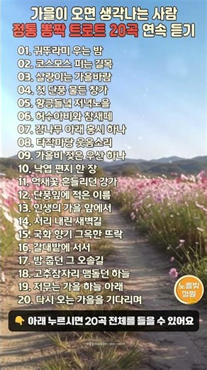 😭 이 가을, 인생의 가을을 노래하는 트로트 20곡 | 정통 뽕짝 트로트(가사포함)#shorts