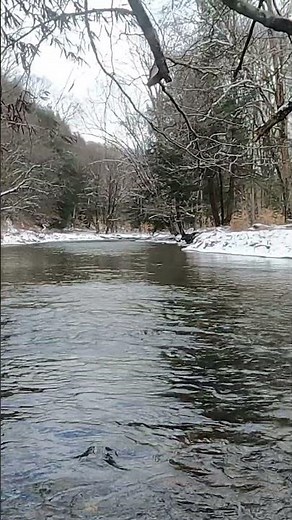 The Branch and Salmon Creek