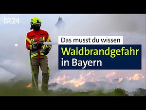 Höchste Warnstufe: Große Waldbrandgefahr in Bayern | BR24