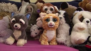 Join the Feisty Pet Craze, Over 10 different models all from £19.99 Special Offer - http://bit.ly/2nkFhIA | Duplay
