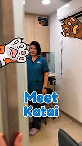 7.8K views · 41 reactions | Meet Katai  She's one of our senior vet techs keeping tails wagging and the clinic running like clockwork  From morning prep to pet care tips, she's always ready to make every visit smoother for you and your fur babies! Book an appointment with our team today and let us keep your pets healthy and happy  #FacesofPetSpace #PetSpaceSingapore #PetSpaceCentralVetSurgery | Pet Space Singapore | Facebook