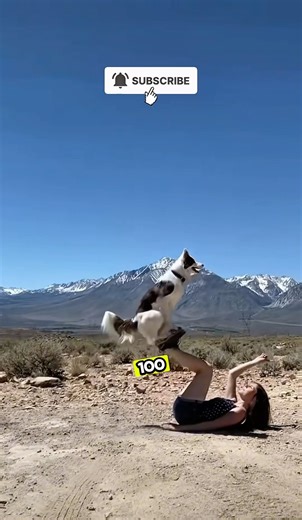 Is Your Dog Smarter Than You Think? 🐕🐶 #dog #dogshorts