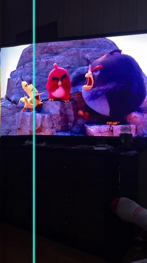 Animated Birds Adventure: A Colorful Scene