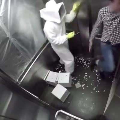 18M views · 119K reactions | This savage bee prank is so mean  Credit: maxman.tv | Viralized | Facebook