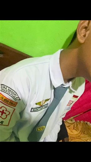 Palang Merah Remaja: Kontribusi di PMI