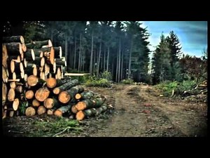 Introduction to Sustainability