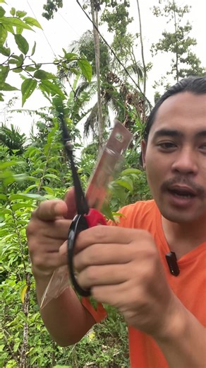 Essential Tools for Pruning Bonsai Trees