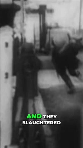 Operation Barbarossa: Hitler's Blitzkrieg Through Russia