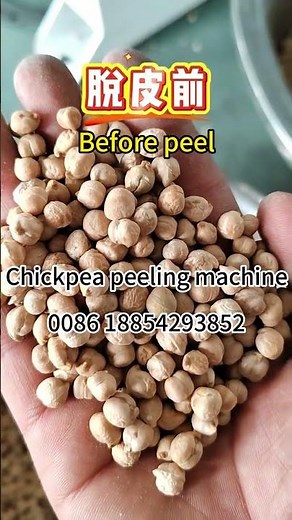 1TPH Chickpea peeling machine Chickpea skin removing machine