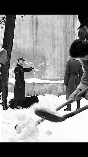 Schindler’s List #movie #history#shorts