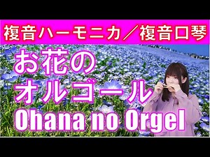 P461. 『お花のオルゴール』”Ohana no Orgel” 複音ハーモニカ by 柳川優子 Yuko Yanagawa Tremolo Harmonica 1,000 複音口琴