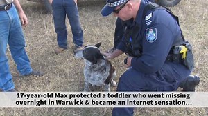 322K views · 17K reactions | You may remember Max from such news stories as: "3yo girl found safe, guarded by family dog" and "Dog hailed hero for keeping lost girl safe"... Well today, Max officially became Queensland's first ever honorary police dog. STILL SUCH A GOOD BOY! More: https://mypolice.qld.gov.au/blog/2018/05/01/video-max-becomes-queenslands-first-honorary-police-dog/ | Queensland Police Service | Facebook
