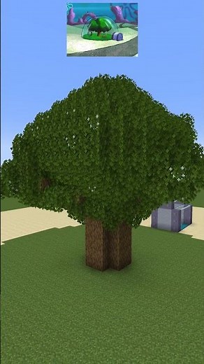 Membuat Tree Dome Rumah Sandy #shorts