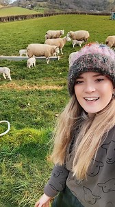 Feeding Lambs with Creep Feed: A Step-by-Step Guide