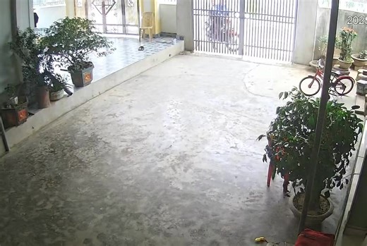 Ae nhà tui sau 3 tiếng gặp lại nhau🤣 | Ngoc Lan