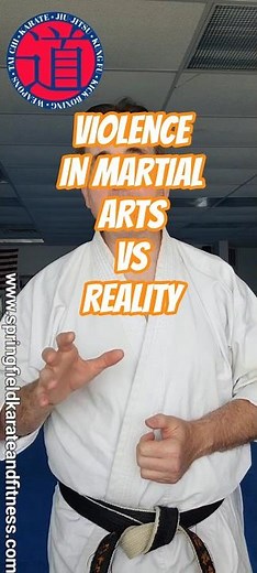 Reality of violence vs Martial arts #selfdefense #martialarts #fighting #safety #violenceprevention