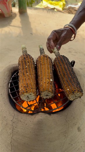 🌽 Fresh Corn Roast Recipe | Farm to Fire Traditional Cooking 🔥#freshcorn