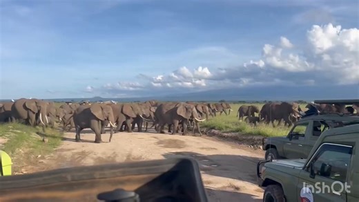 This is Africa 🇰🇪