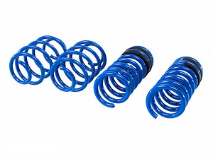 Steeda Ford Fusion Lowering Springs (2013-2020)